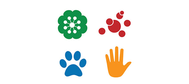 Different types of allergy