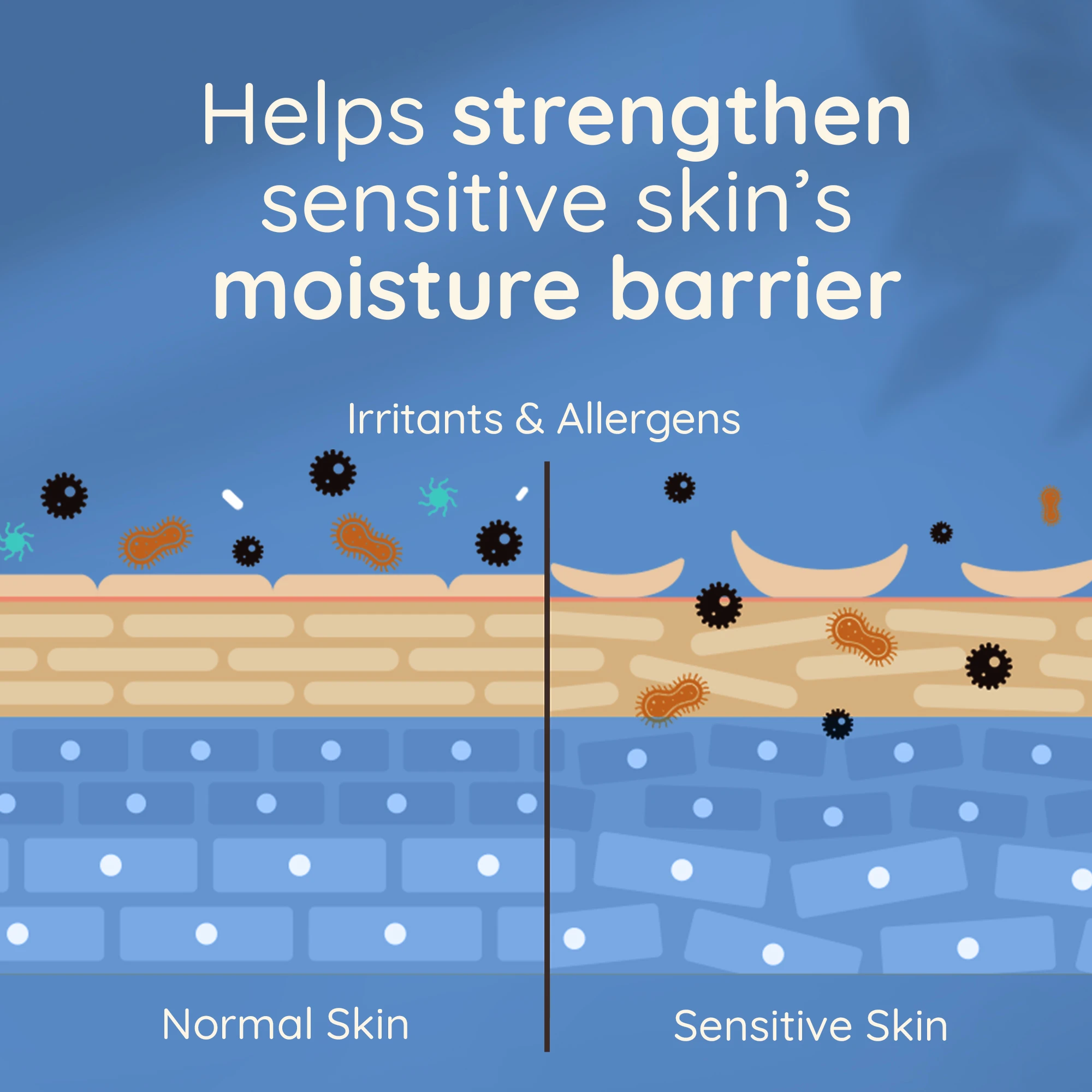 Helps strengthen sensitive skin’s moisture barrier
