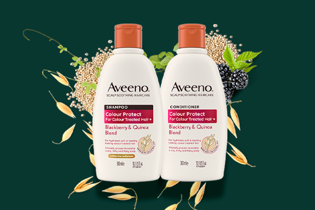 prevent damage and fade on colour treated hair with blackberry quinoa