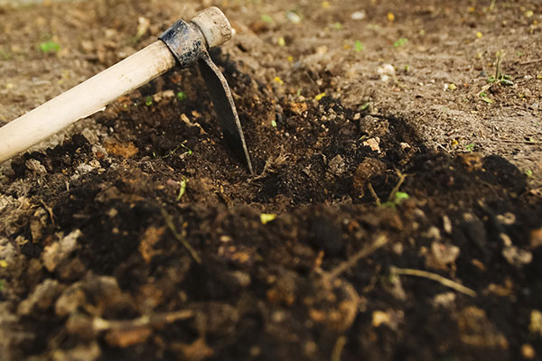 Biner la terre augmente sa capillarité