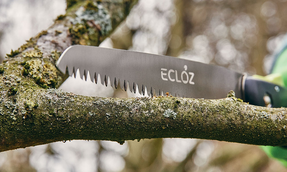 Scie arboricole ECLOZ