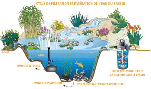 Installer votre étang: bassin préformé ou bache? - Dobbit