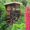 Tout sur les hôtels à insectes pour bien accueillir les auxiliaires du jardinier