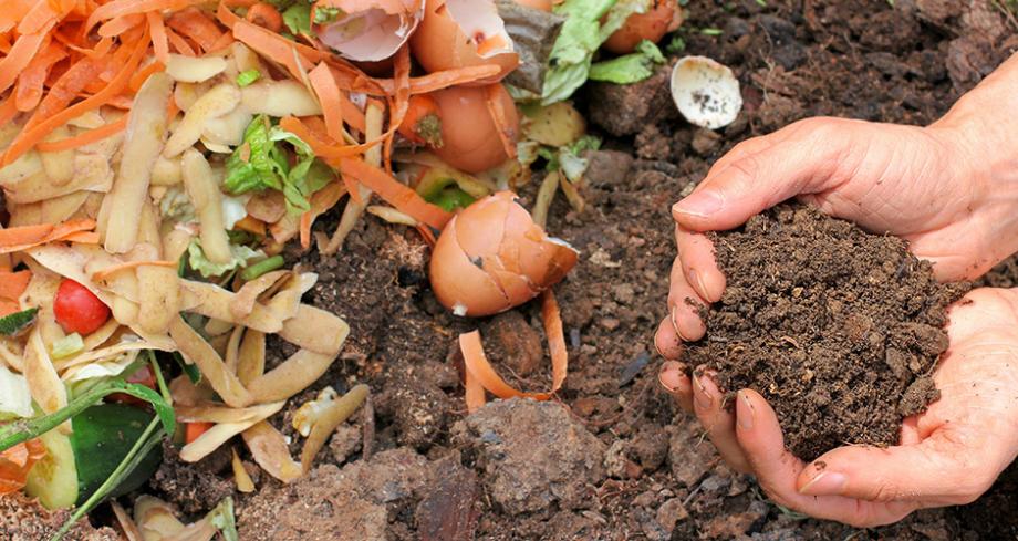 Compost