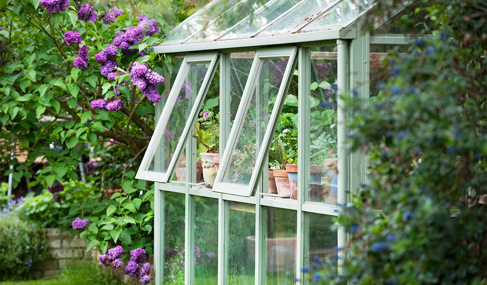 Comment organiser les plantations dans une serre ? - Jardiland