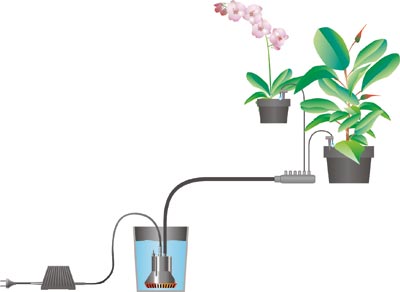 Arroseur de plantes amélioré, système de pointes d'arrosage automatique,  dispositifs d'arrosage des plantes avec interrupteur de valve de contrôle à