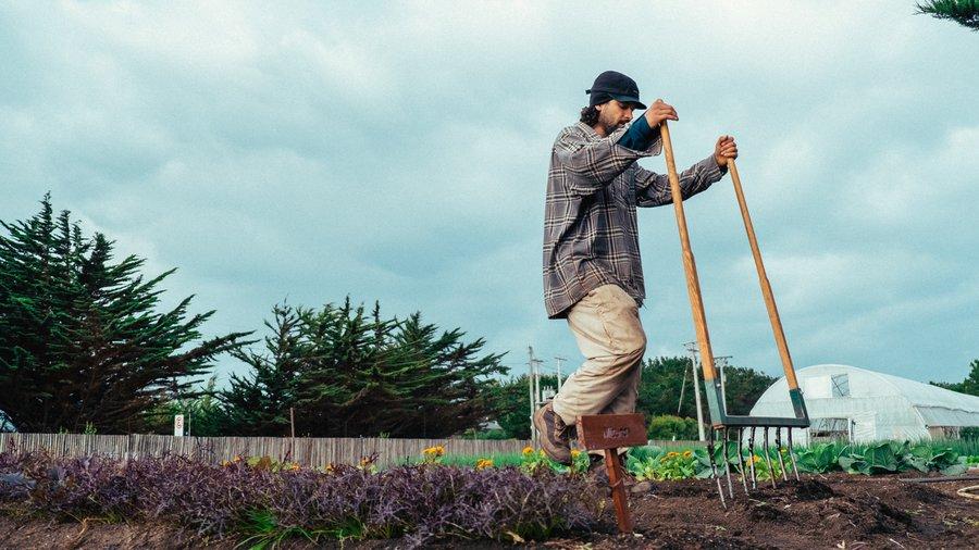 La grelinette permet de rester droit, un avantage pour le dos du jardinier !