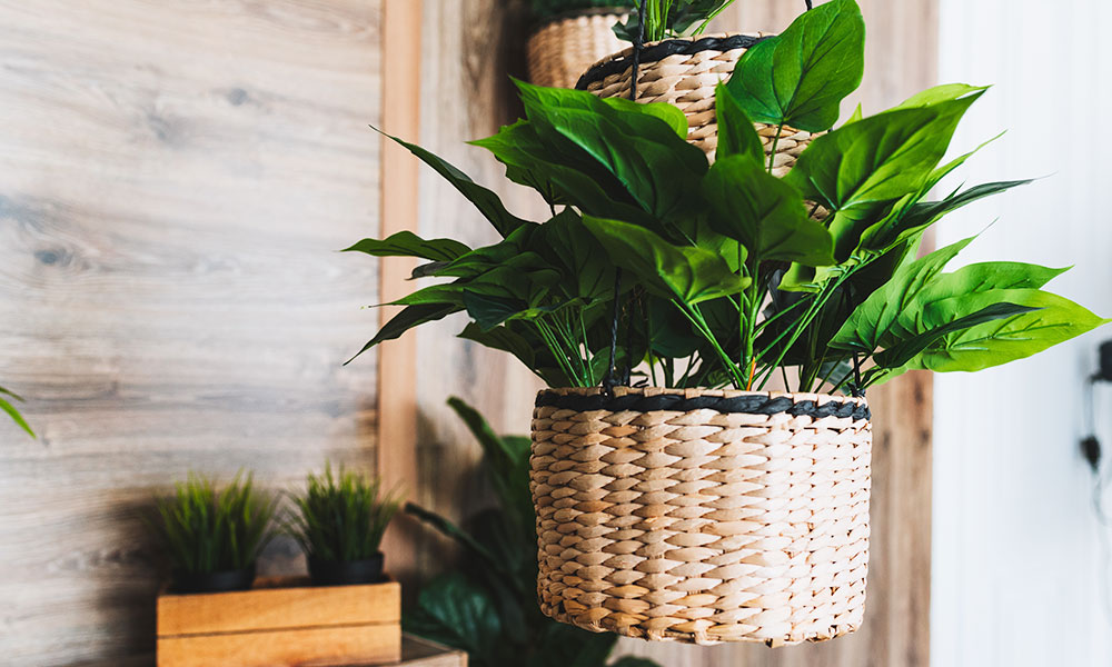 Un bon cache-pot pour mettre en valeur votre plante artificielle