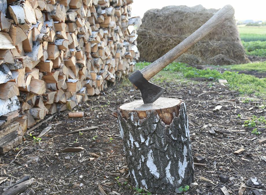 Comment choisir ses outils à main pour scier et débiter du bois