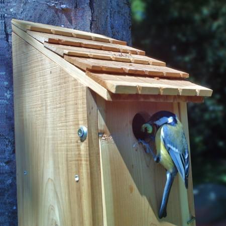 Installer un nichoir dans son jardin pour oiseaux - Abri oiseau