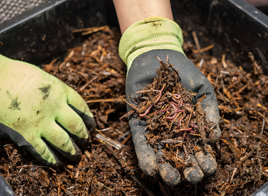 Bac à Compost Jardin Recyclage Des Déchets Organiques Dans Le Bac à Compost  Engrais Bio Dans Le Composteur