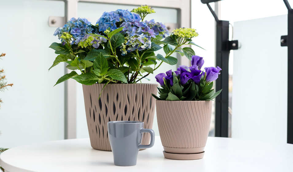 Connaissez-vous vraiment les pots de fleur à réserve d'eau ? - Blog de  Jardin Concept