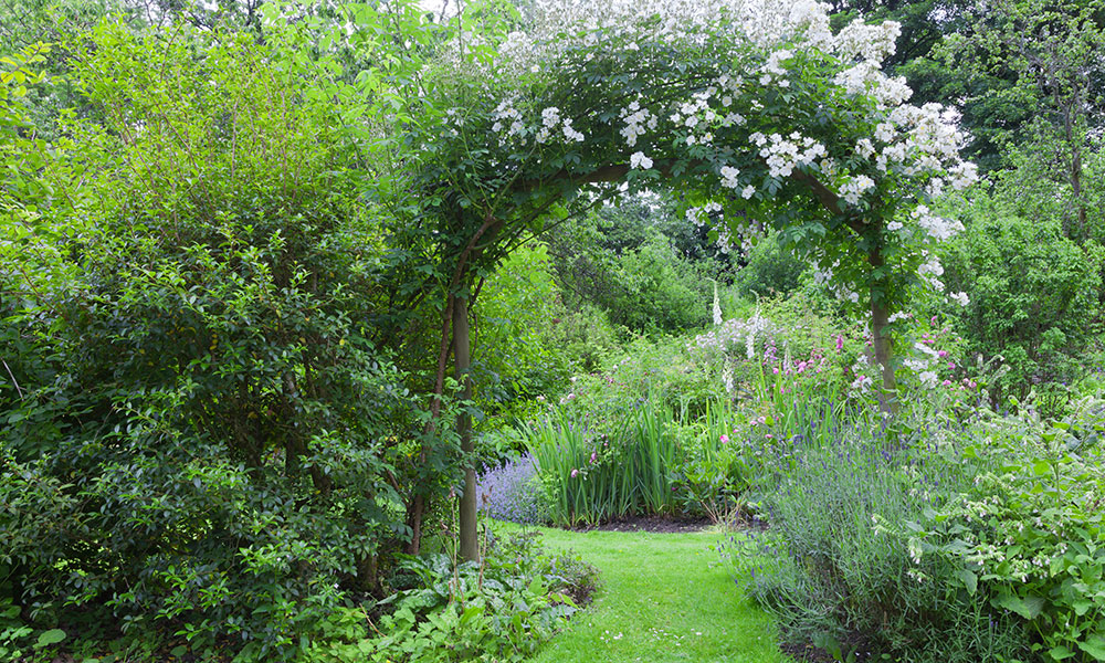 Structurer le jardin avec des arches