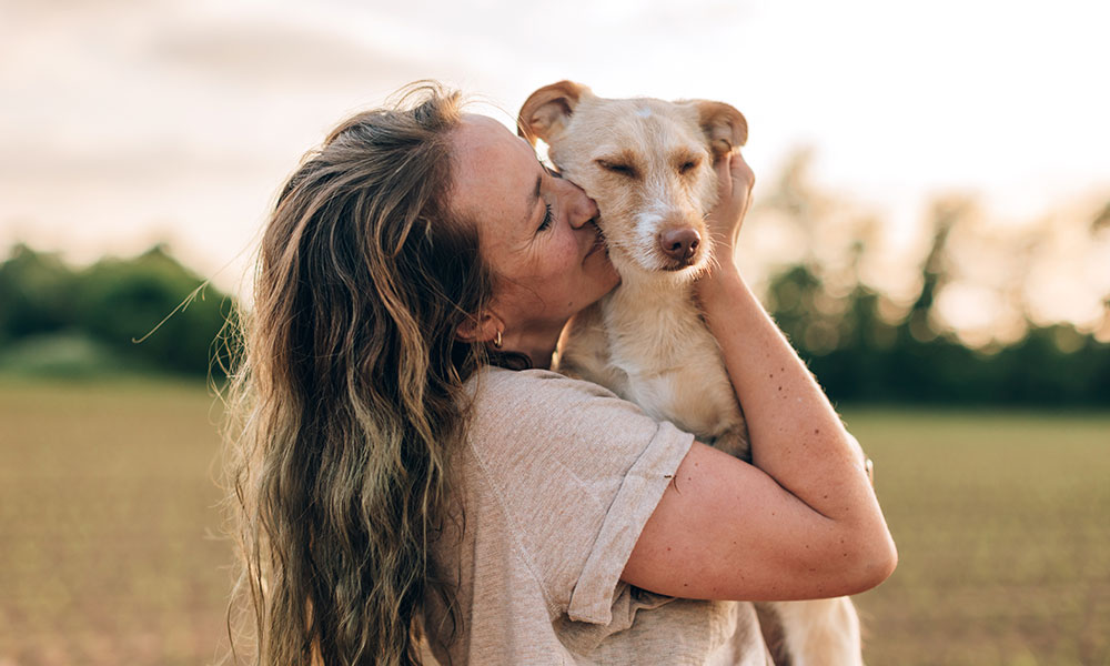 Un chien aimé