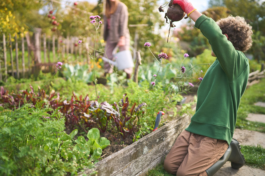 L'autoproduction alimentaire : vous aussi, faites pousser vos courses !