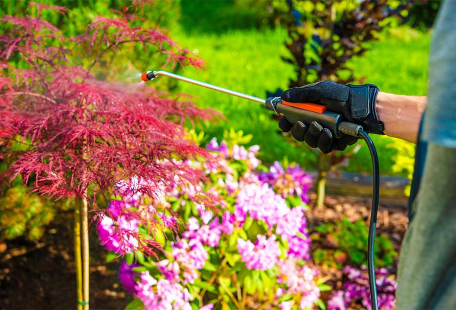 Traiter au jardin d'ornement
