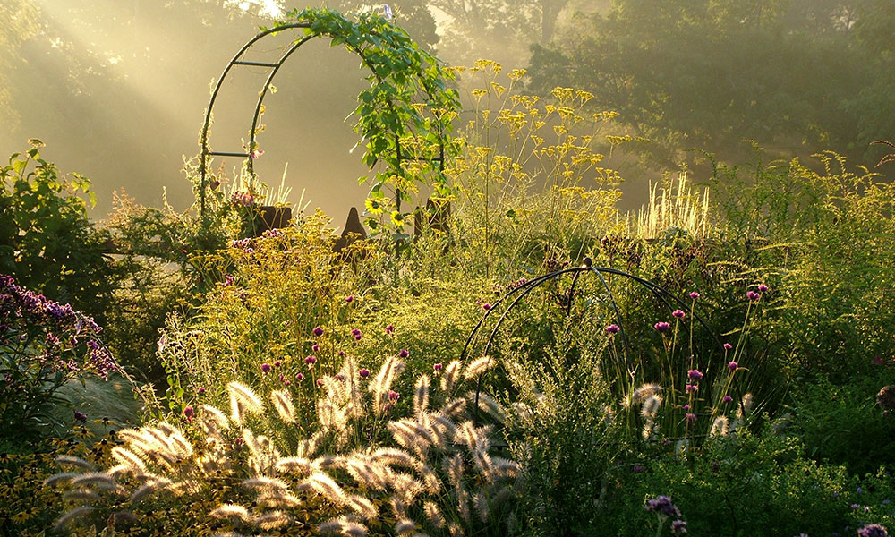 L'installation de plantes résistantes comme les graminées ou des vivaces méditerranéennes mais également de dispositifs pour l'ombre permettent de mieux faire face à la canicule