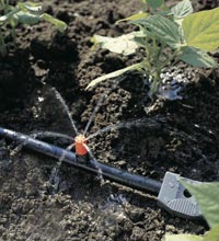 micro-asperseur gardena
