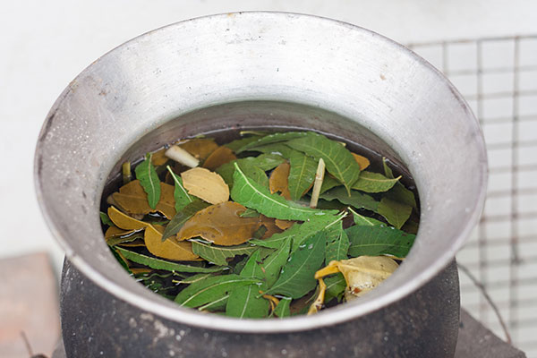 Une décoction est un mélange d'eau et de plantes