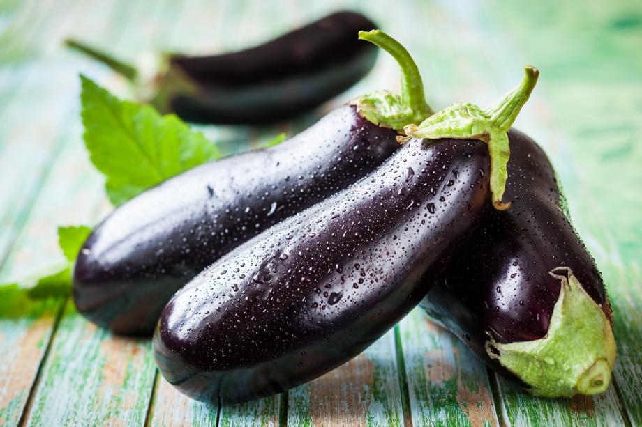 aubergine dans le potager