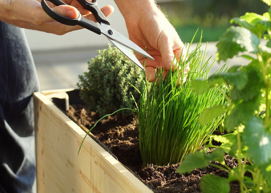Doublez l’intérieur de la jardinière avec une matière étanche pour éviter qu’elle ne s'abîme avec l’humidité de la terre