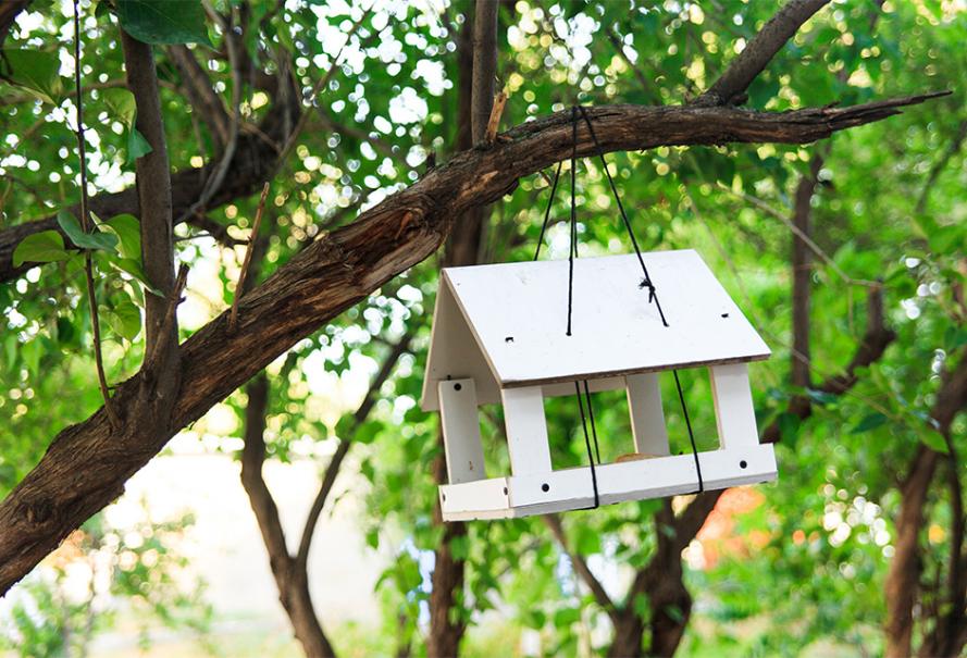 mangeoire oiseau sur pied  Mangeoires pour oiseaux faites maison, Mangeoires  oiseaux en bois, Mangeoire oiseau