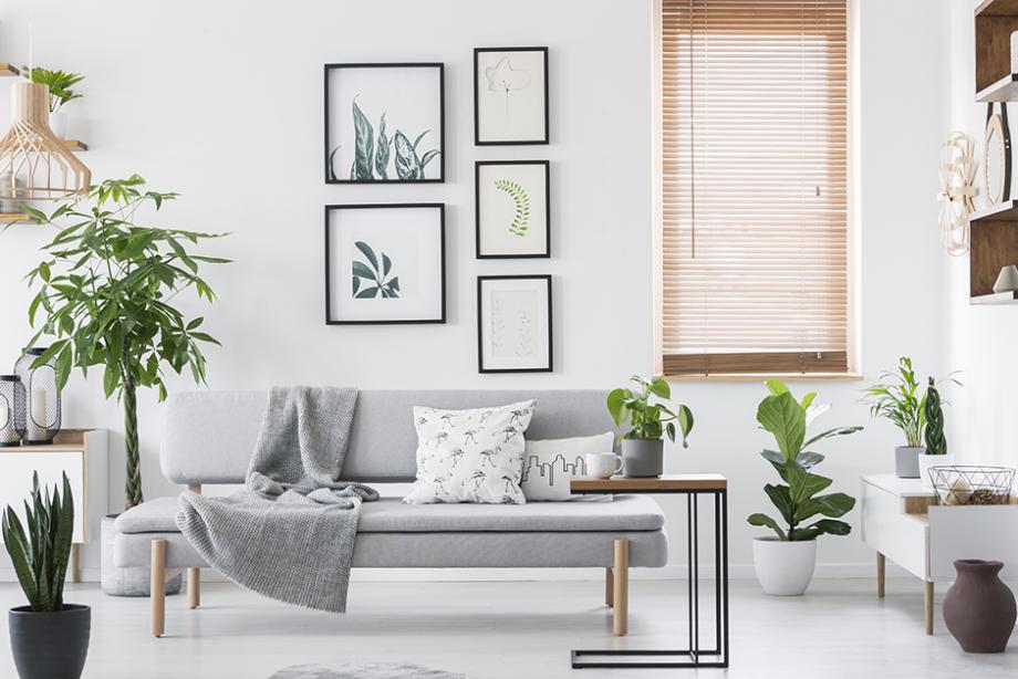 Dans un appartement orienté Nord
