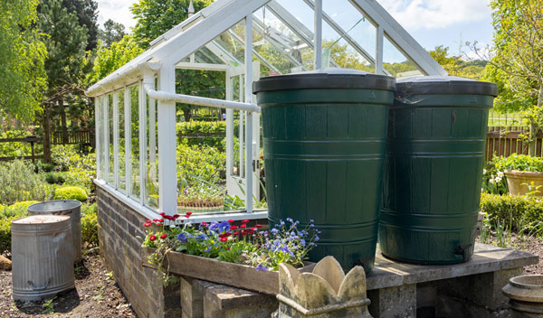 LEADZM Récupérateur D'Eau De Pluie Pliable 250L – Réservoir Écologique Avec Filtre Inox, Robinet Et Trop-Plein – Vert – Idéal Jardin, Potager, Arrosage