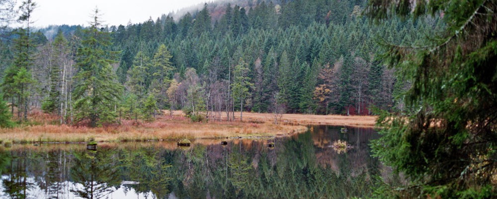 Lac du Lispach