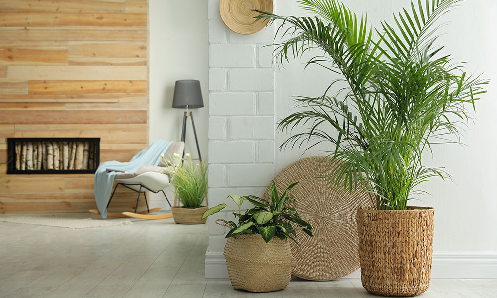 Comment aménager son intérieur avec de grandes plantes artificielles ?