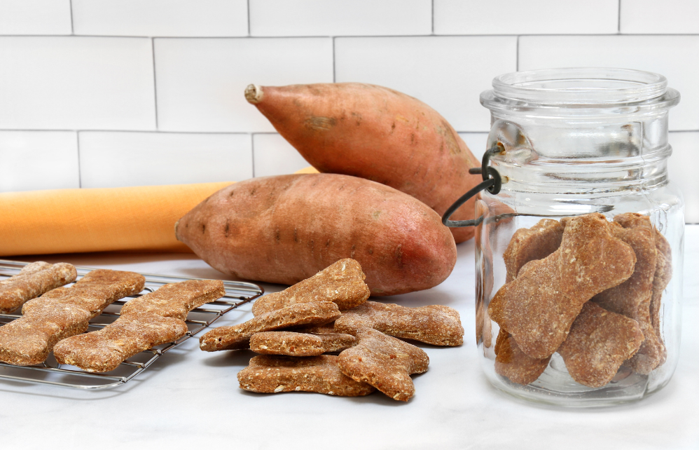 5 recettes de friandises maison pour votre chien - Jardiland