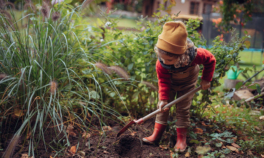 Que planter en automne : légumes, fruits, vivaces... ?