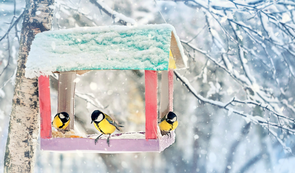 Un nettoyage hebdomadaire d'une mangeoire à oiseaux est généralement suffisant