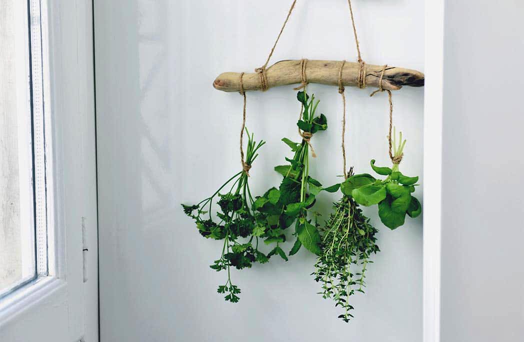 Ma suspension d'herbes séchées