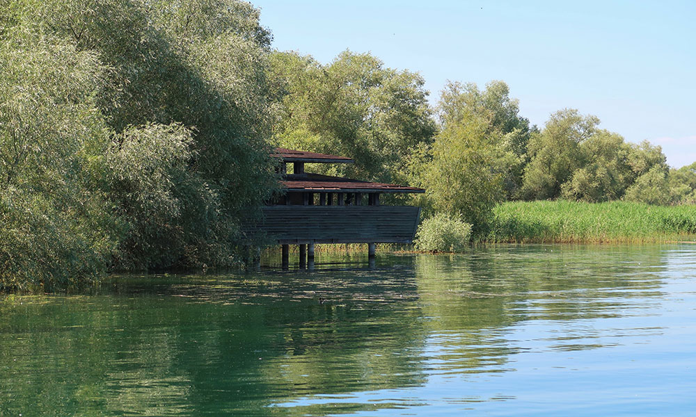 Le Lac du Der-Chantecoq