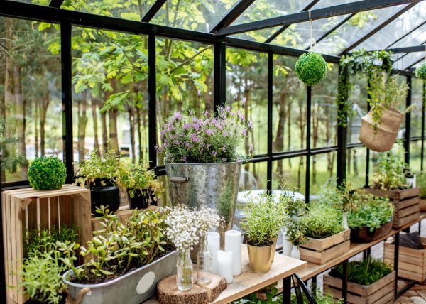 Comment bien organiser les plantations dans une serre de jardin