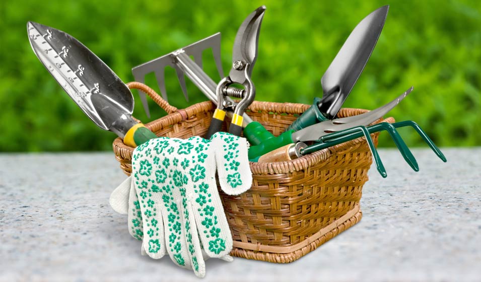 Les bons outils font les bons jardiniers