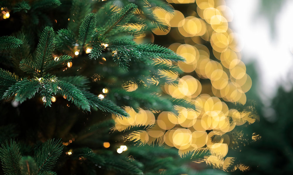 Sapin artificiel ou sapin naturel ?