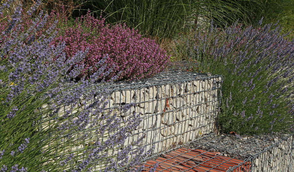 Gabion pour l'aménagement d'un jardin sec