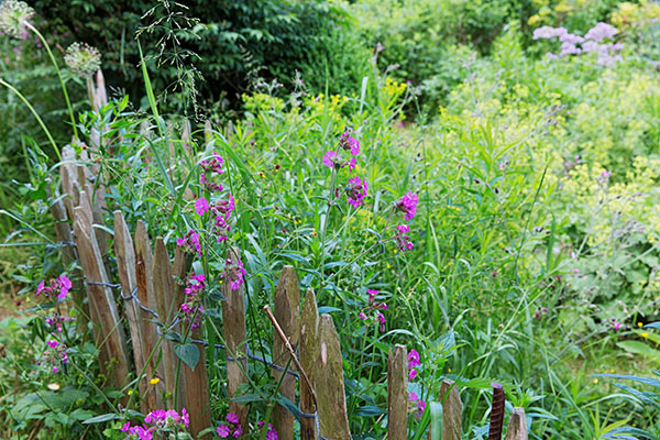 Votre jardin est un écosystème