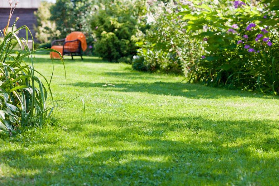 10 Idées pour un Jardin Intérieur