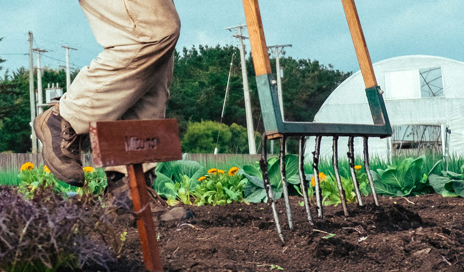 Les 8 meilleurs outils pour creuser la terre du jardin - Jardiland