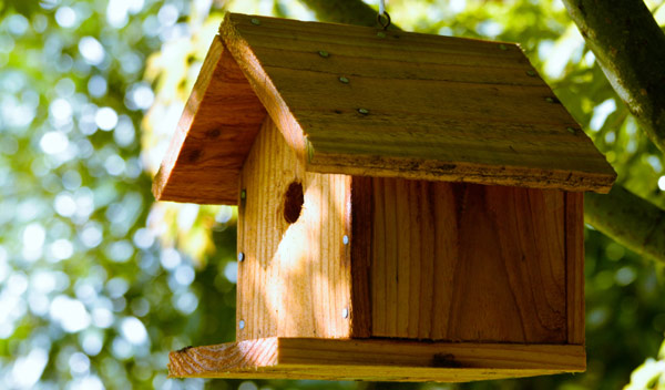 Comment fabriquer un nichoir pour les oiseaux de votre jardin ?