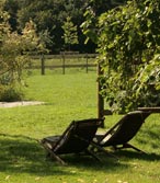 Chaises longues attendant les visiteurs