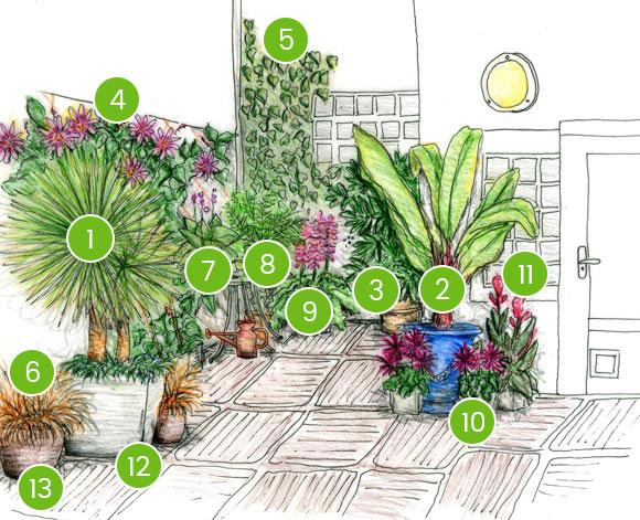 Schéma de réalisation d'un patio luxuriant