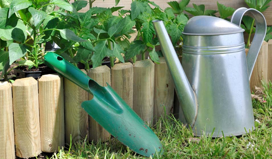 Un potager boisé