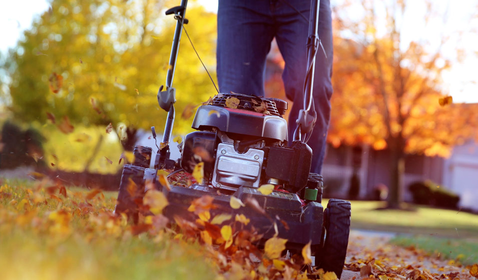 automne