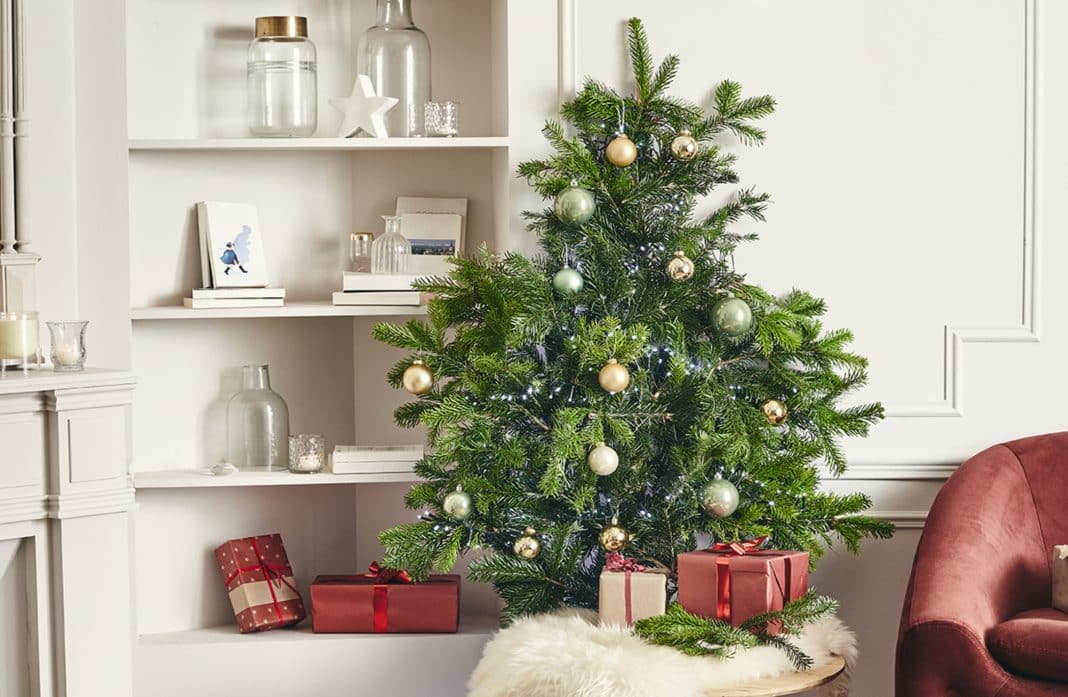 Fabriquer un vrai faux sapin pour décorer son salon