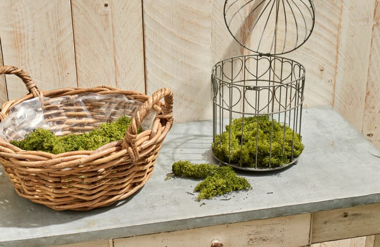 Mise en place de la mousse dans la cage