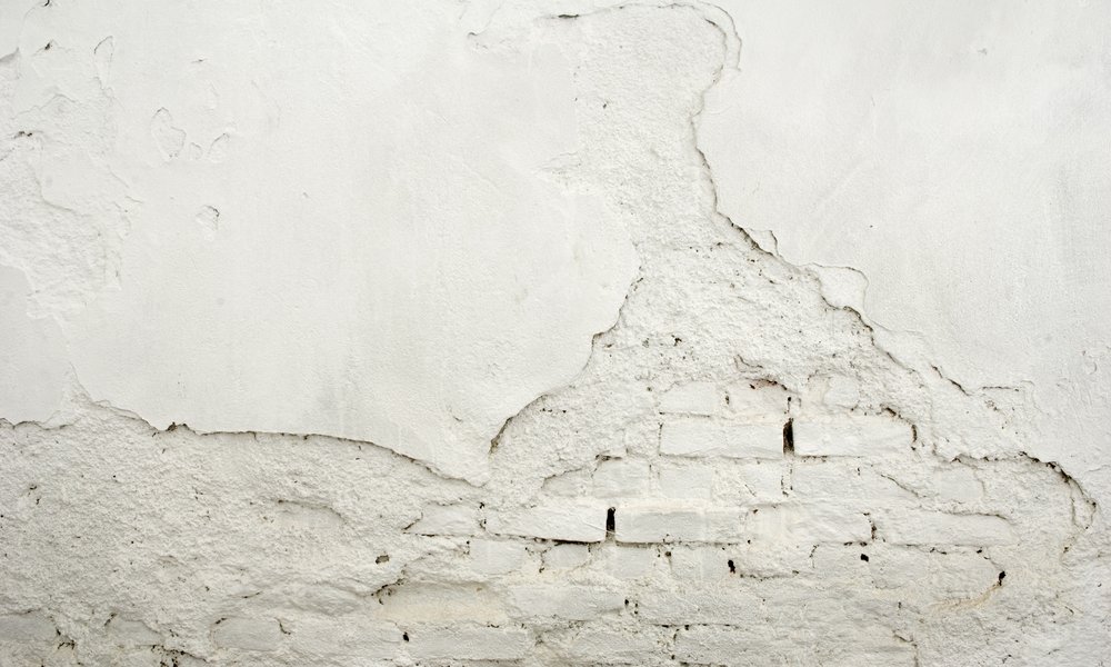 Enduit décollé, fissures, sont de bonnes raisons pour choisir une plante à palisser